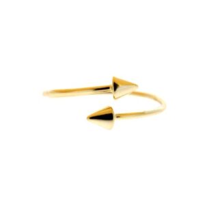 Anillo Jan