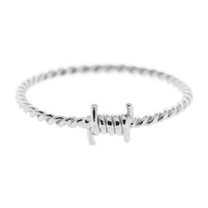 Anillo Denali