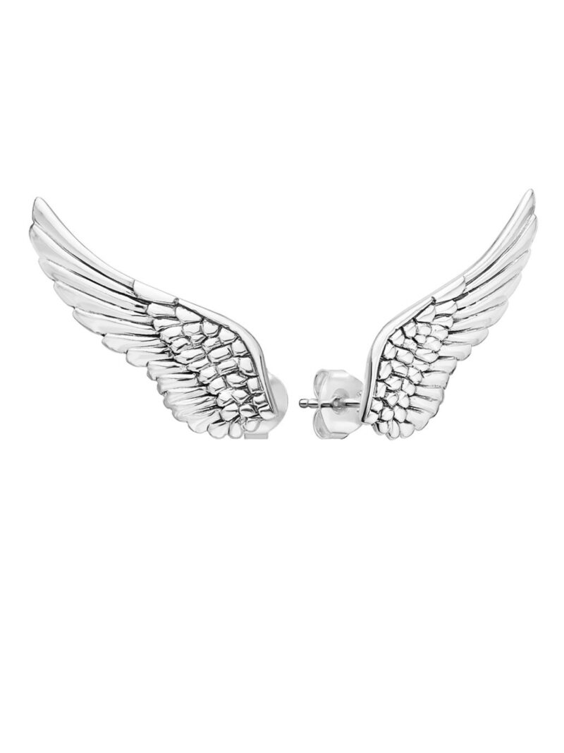 Pendientes Alas Plata
