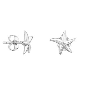 Pendientes Ariel