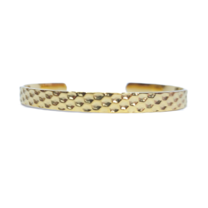 Pulsera  Rígida Raven