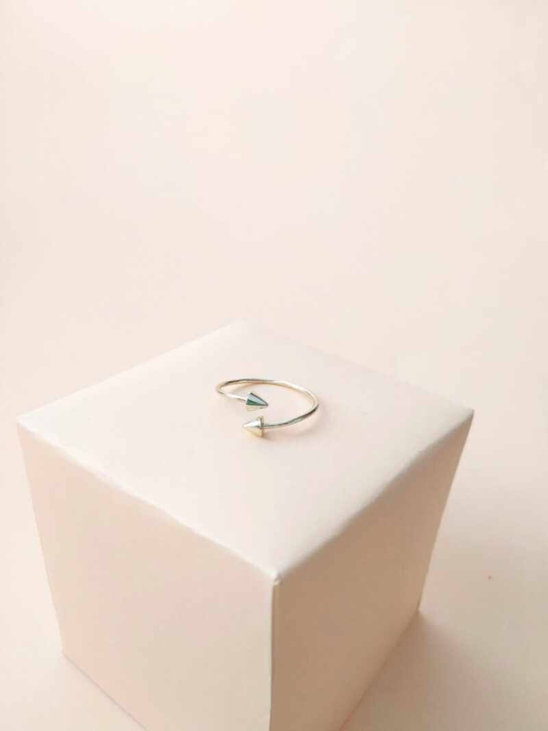 Anillo Jan