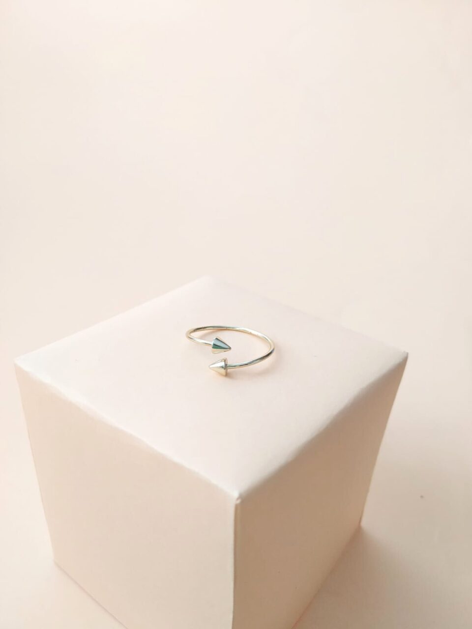 Anillo Jan
