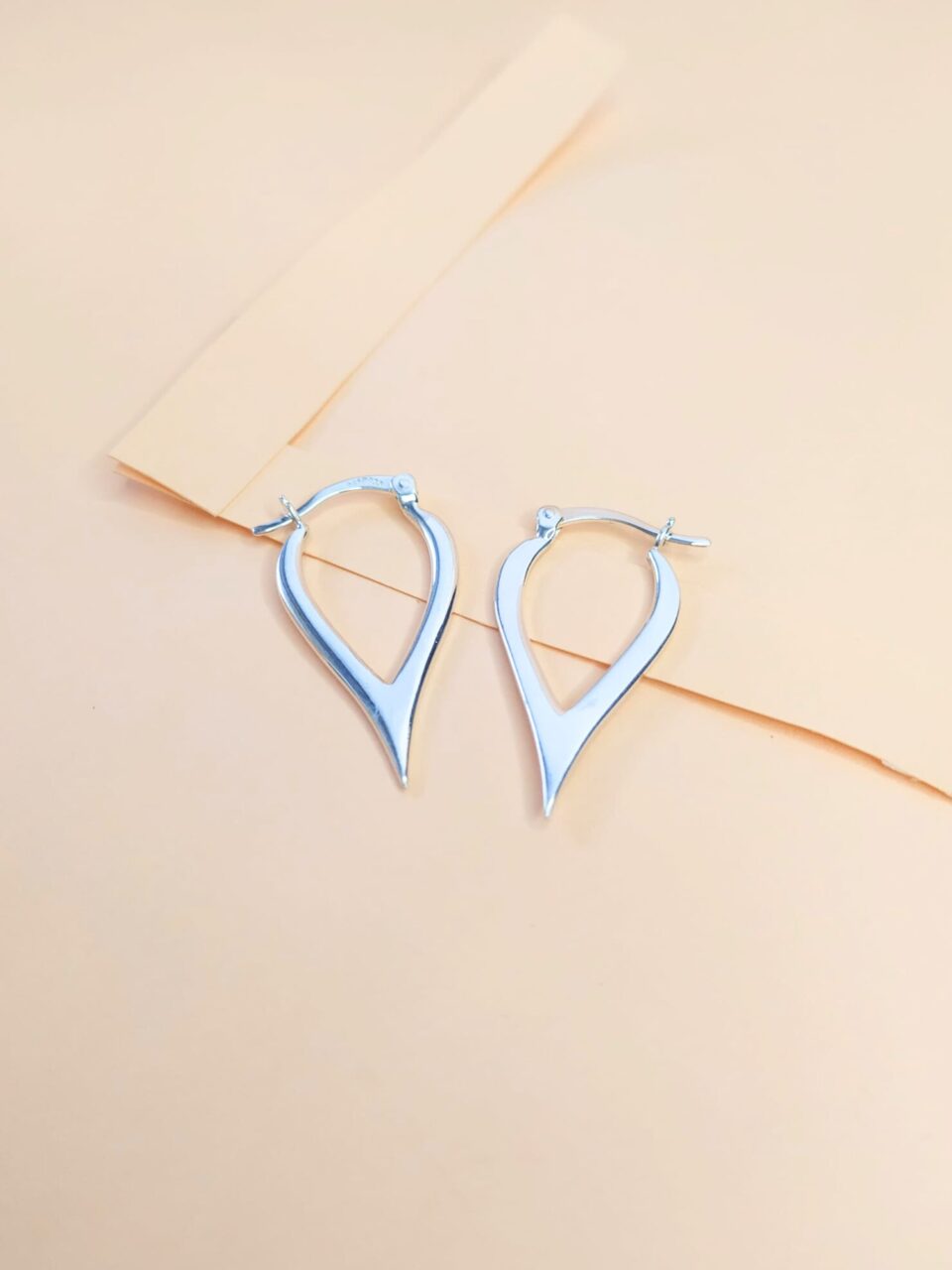 Pendientes Aro Pico Plata