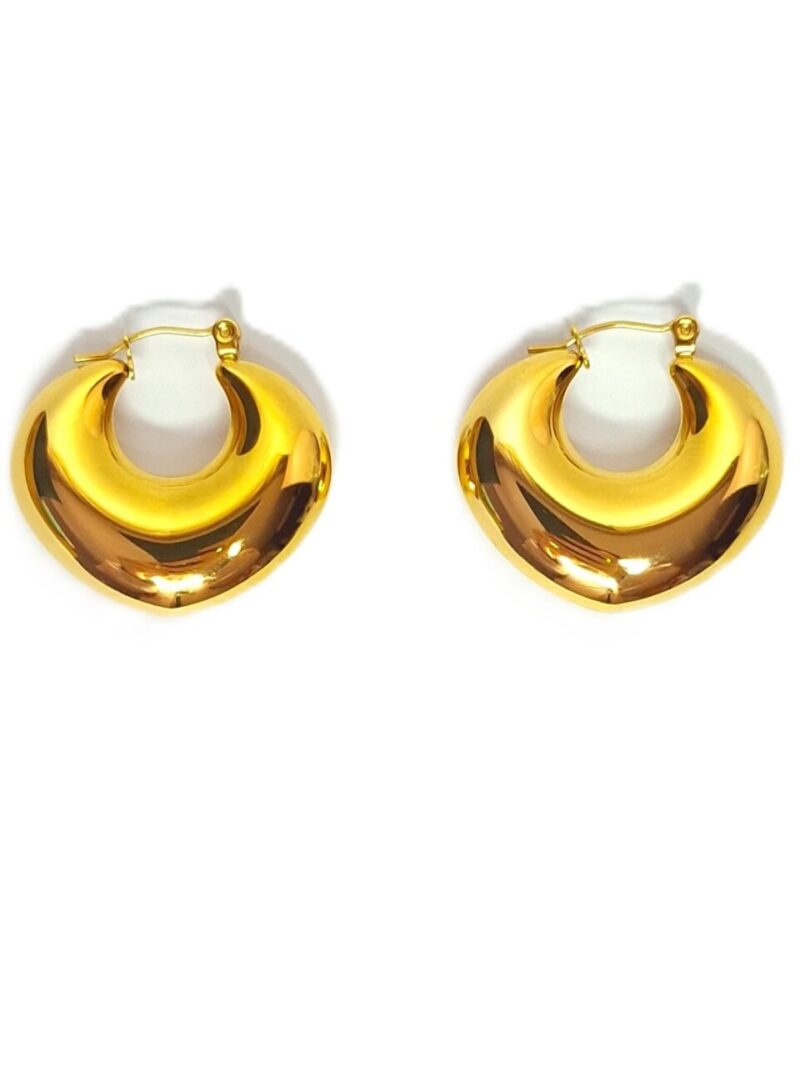 Pendientes Begonia
