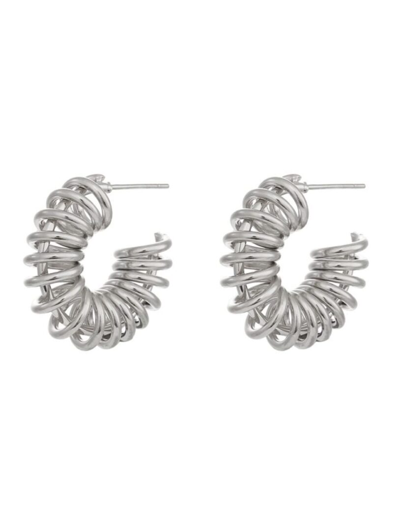 Pendientes Zinnia Plateados
