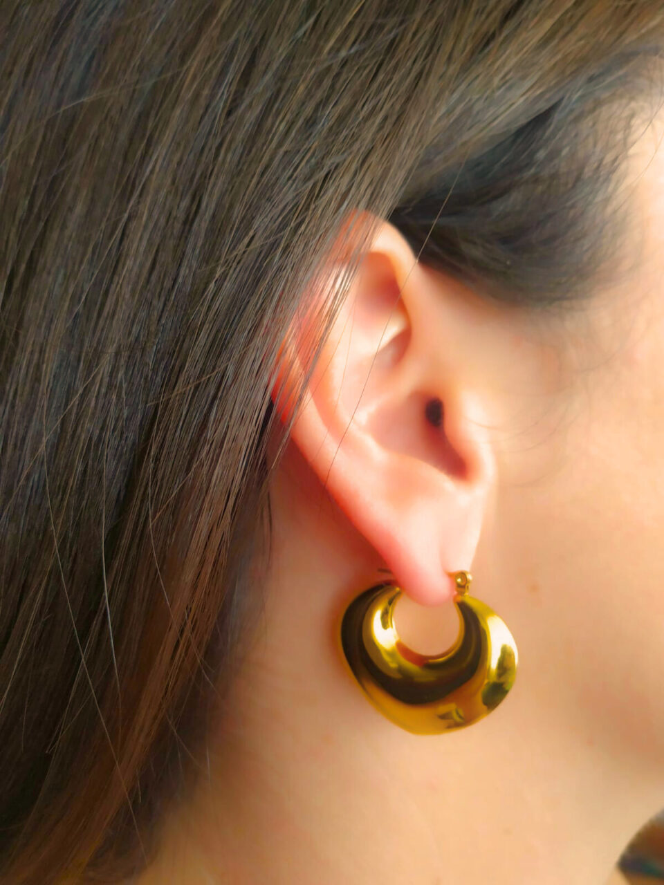 Pendientes Begonia..
