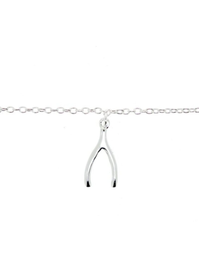 collar wish bone