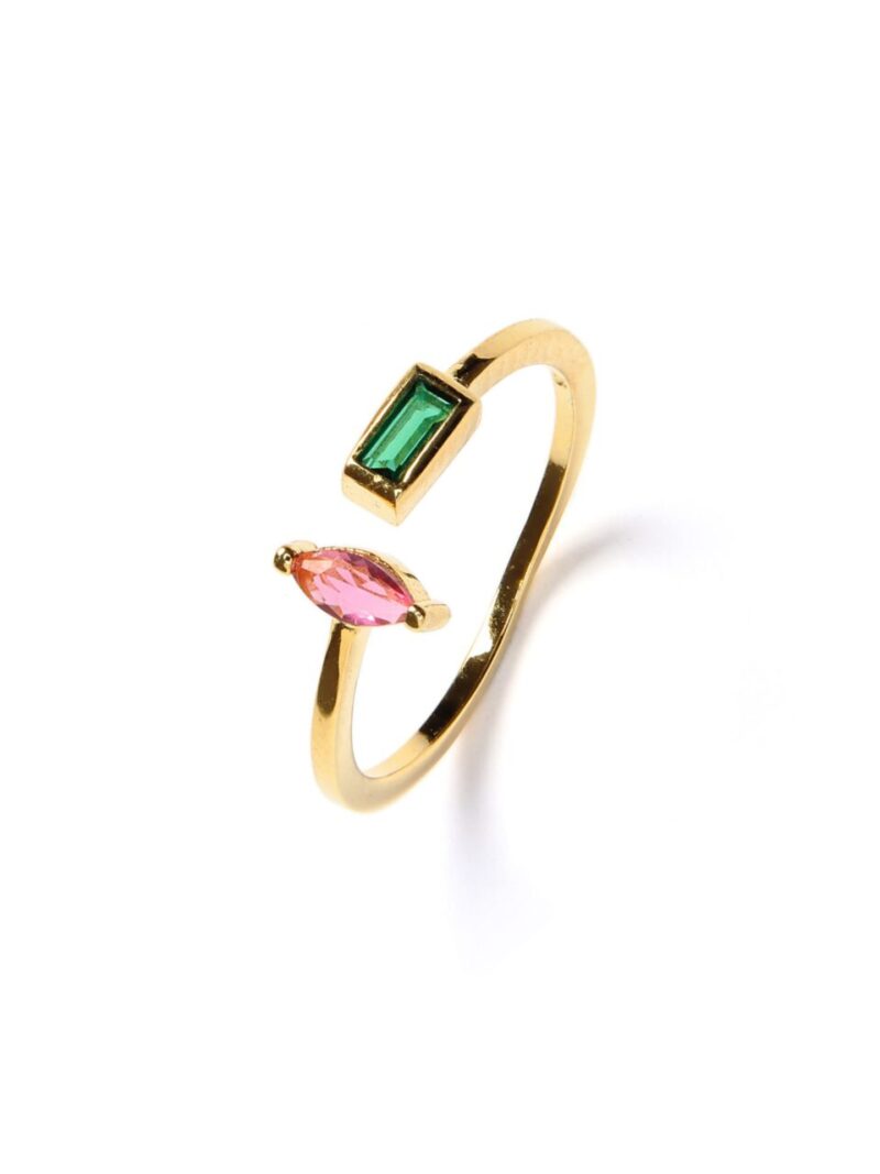 Anillo Sintonía