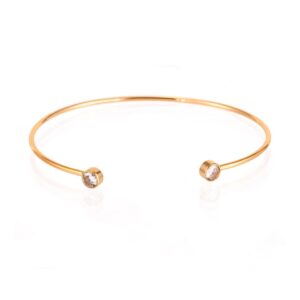Aries Pulsera Rígida Acero