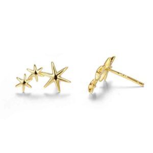 Pendientes Trepadores Estrellas