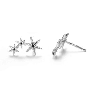 Pendientes Trepadores Estrellas Plata