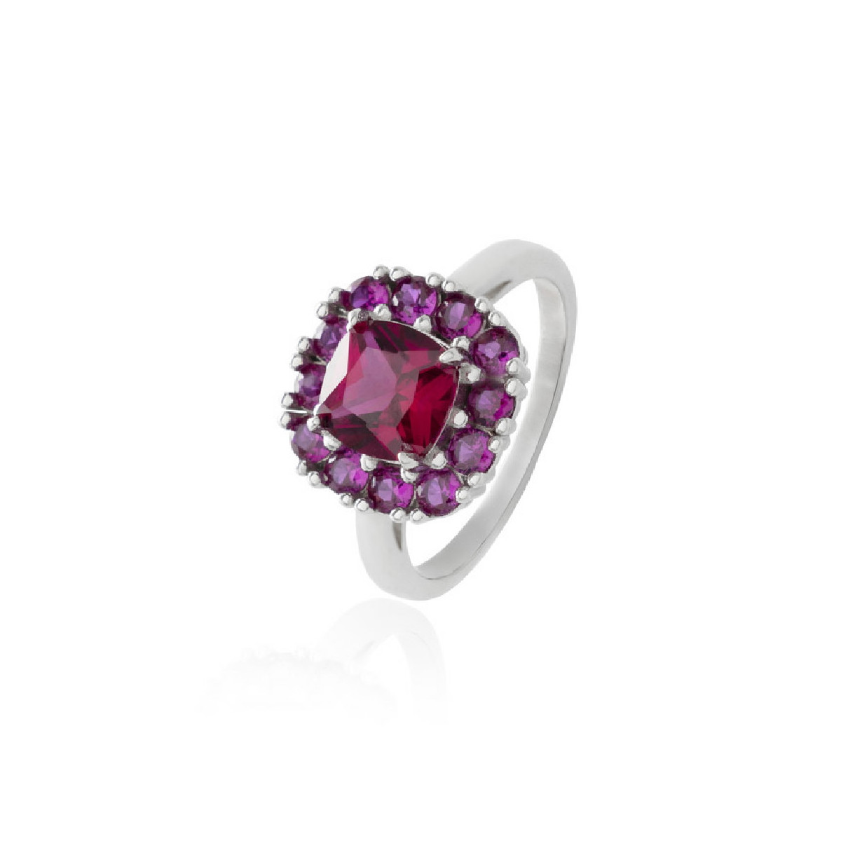 Anillo-vergel