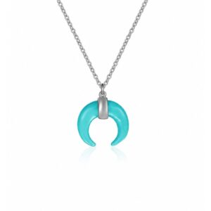 Collar Plata Cuerno Turquesa